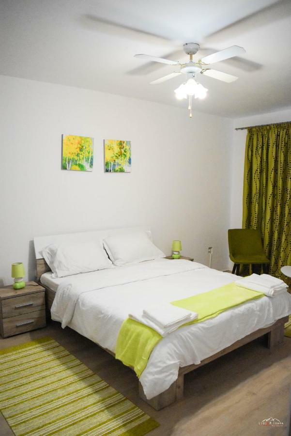 Spacious And Cozy 3Bd+Terrace Couples Apartment Тимишоара Экстерьер фото