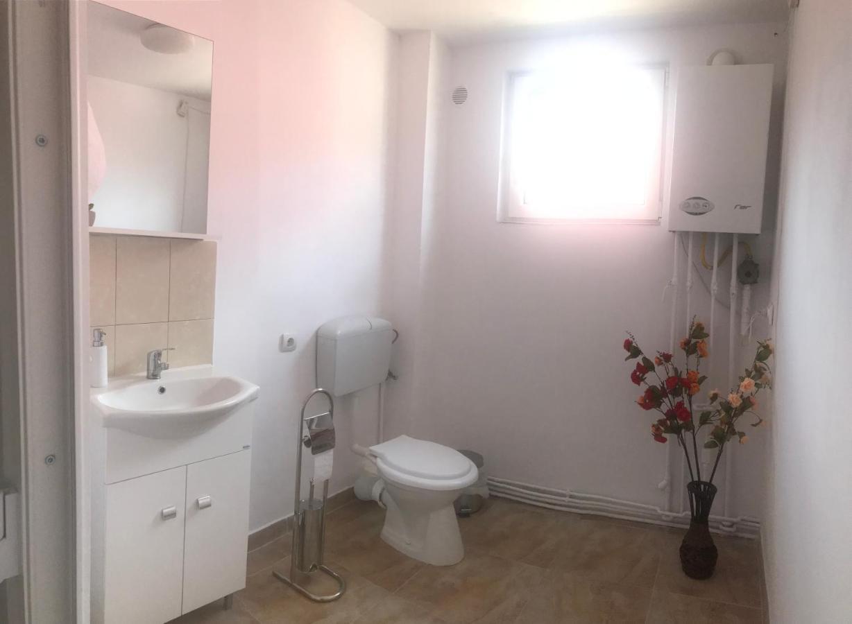 Spacious And Cozy 3Bd+Terrace Couples Apartment Тимишоара Экстерьер фото